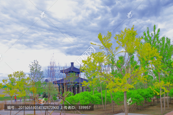中國亭園