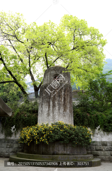 金庫氣囪