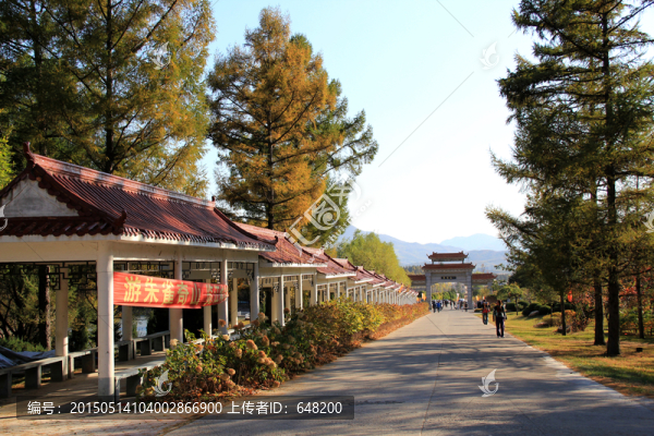 朱雀山公園