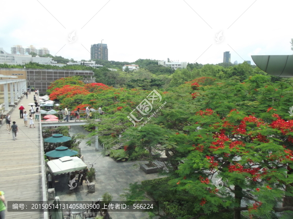 生態(tài)廣場