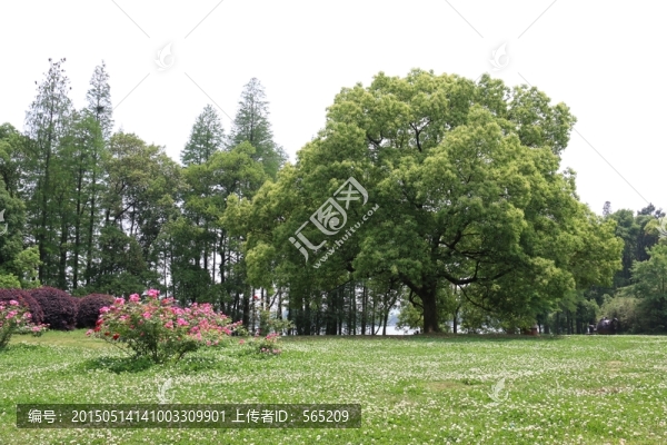 落雁景區(qū)風(fēng)景