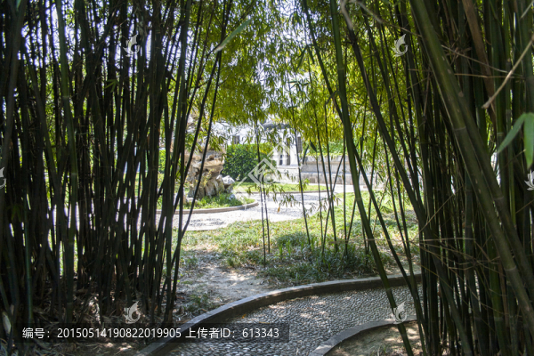 蘇州東山啟園竹林