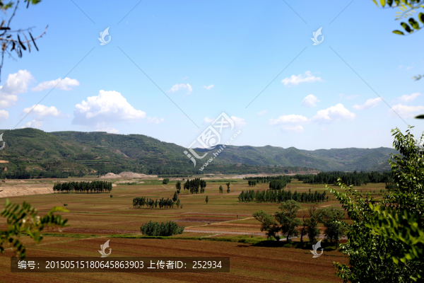 田野
