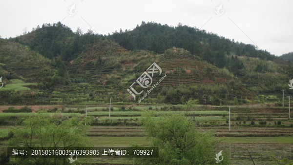 江西婺源古村落,梯田