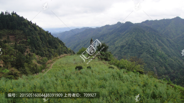 江西婺源古村落,群山