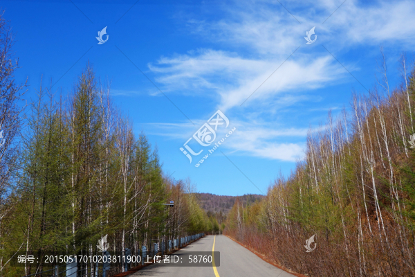 初春的山林山路