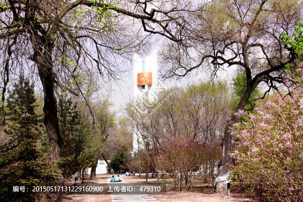 大慶,城市森林