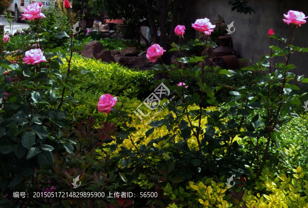 花園