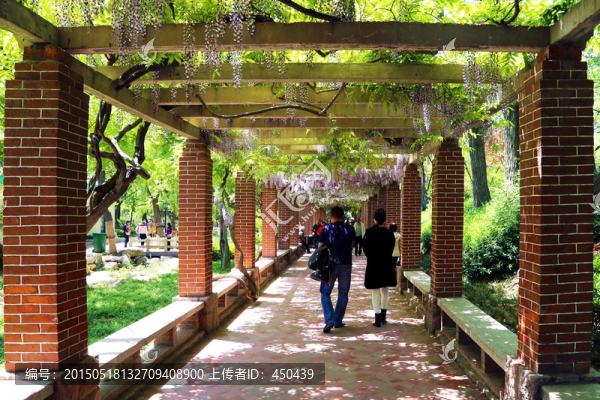 公園一角