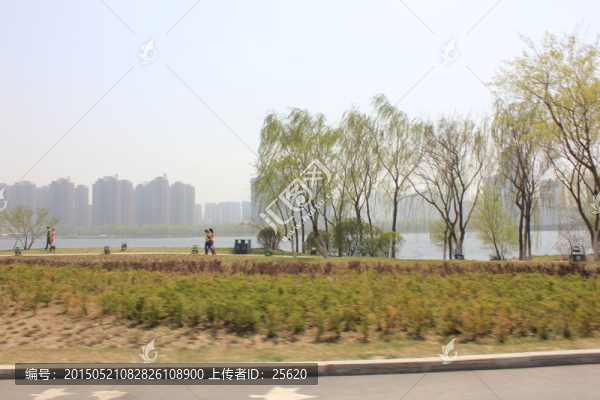 公園隨手拍