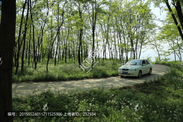 田野風(fēng)景