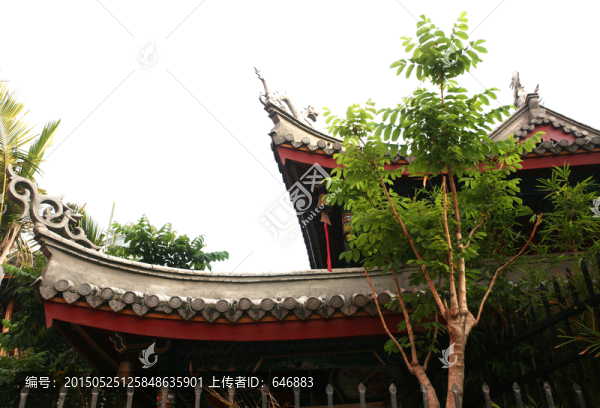 屋脊