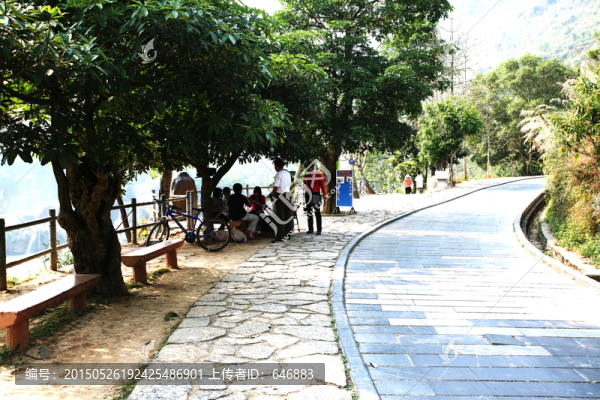 園中小路