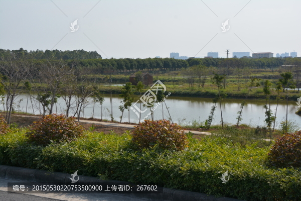 小島