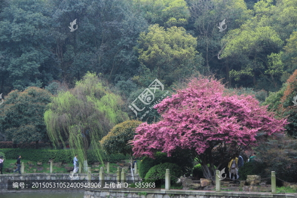 王陵公園望月公園