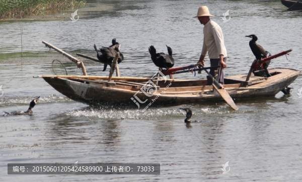 湖水,鸕鶿,捕魚,小船,魚鷹