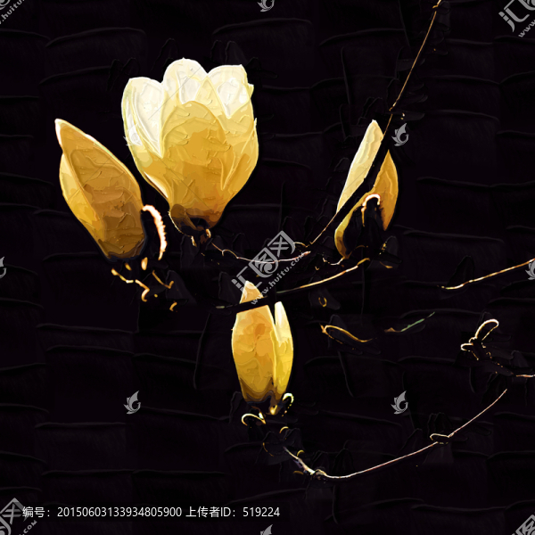 玉蘭油畫,TIF無分層