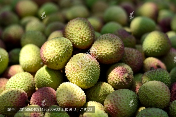荔枝妃子笑