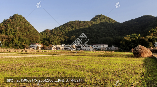 萬峰林田園風光