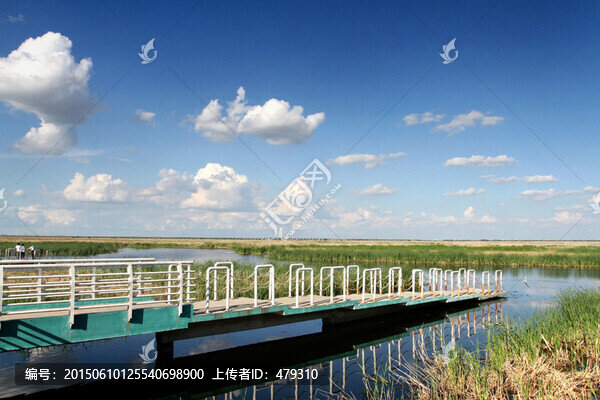 大慶,濕地