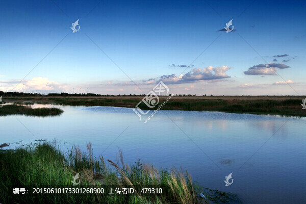 大慶,濕地
