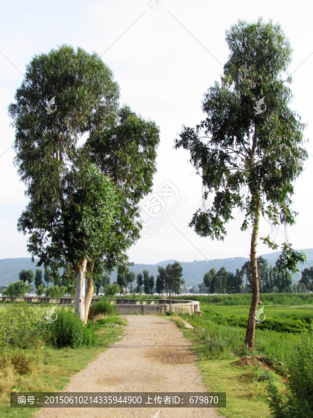 鄉(xiāng)村道路