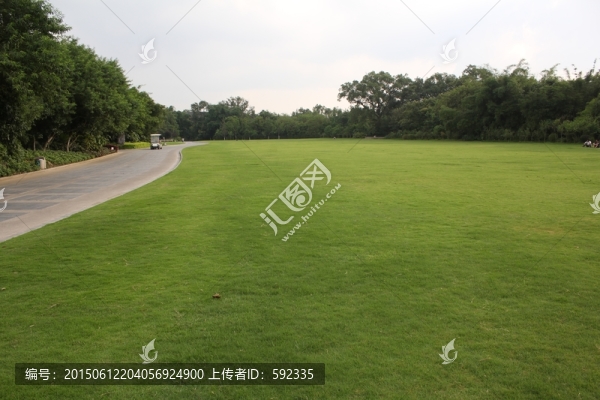 草地