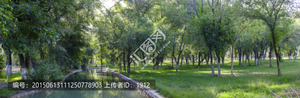 綠樹林