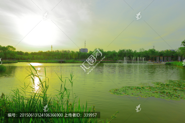 黃縣林苑