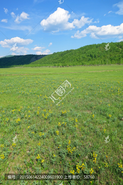 原野草甸風景