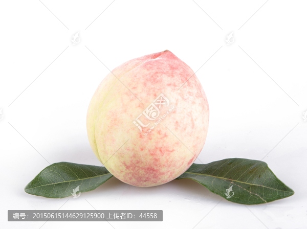 桃子