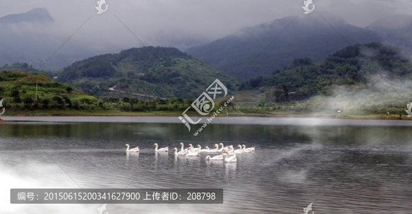 田園風(fēng)光