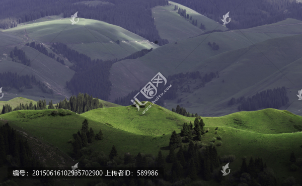 草原自然風(fēng)光