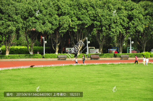 綠草樹木運動場