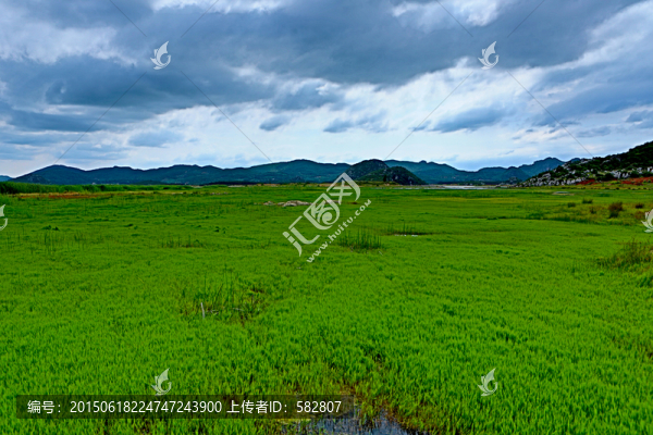 濕地
