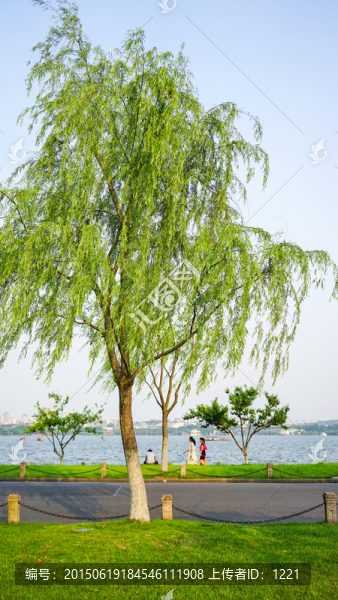 西湖風(fēng)光