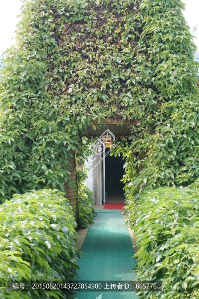 門