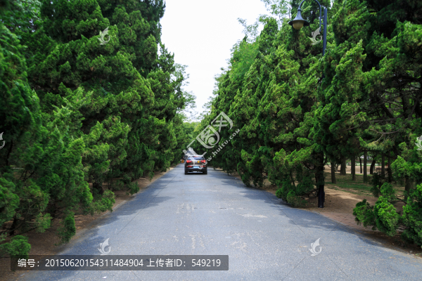 林蔭大道
