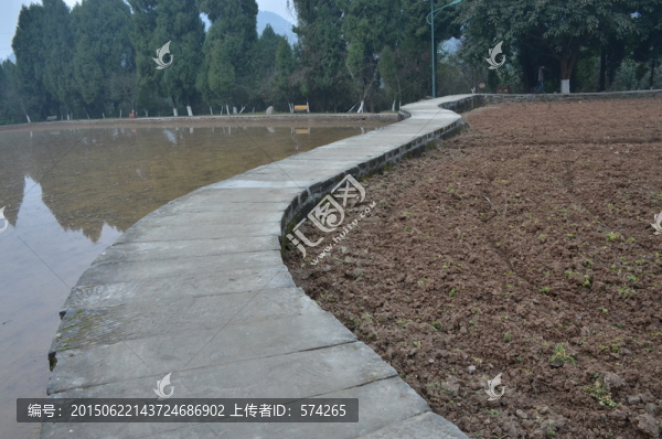 彎曲的小路