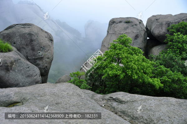 霧中巨石景觀