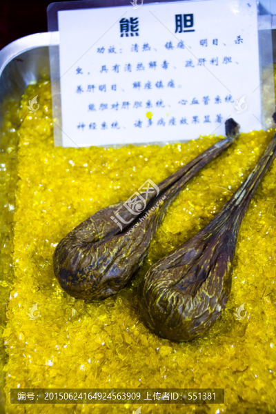 熊膽
