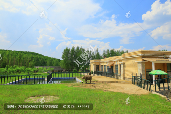 哈爾濱北方森林動物園