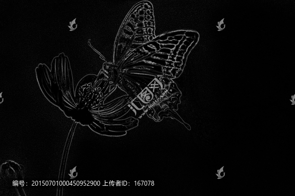 荷花,蝴蝶