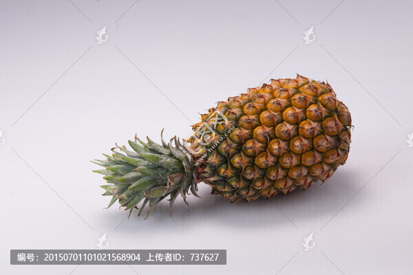 臺灣鳳梨