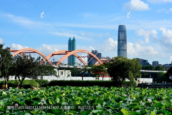 深圳風(fēng)光