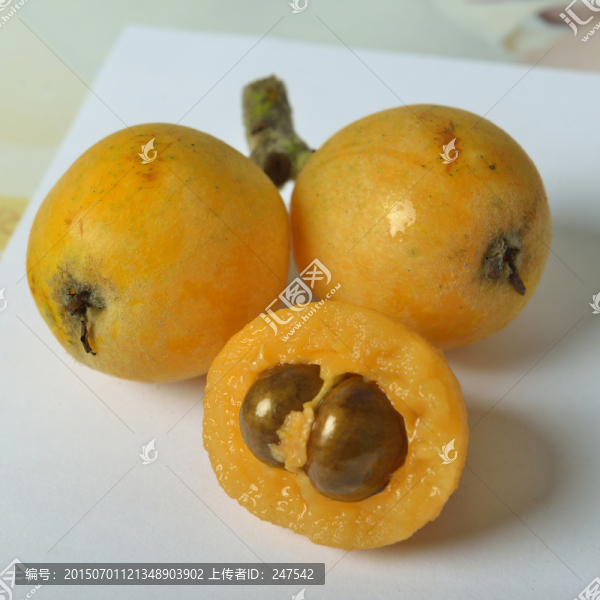 枇杷