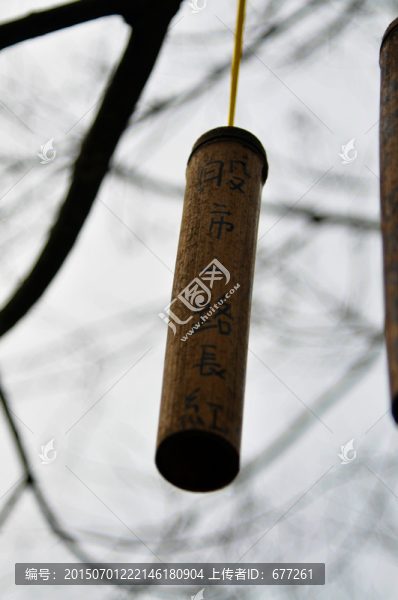 許愿竹股市一路飄紅