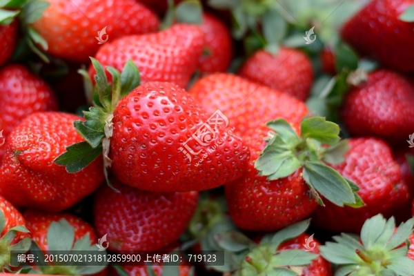 草莓