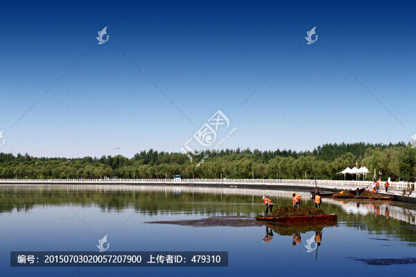 大慶,湖,水