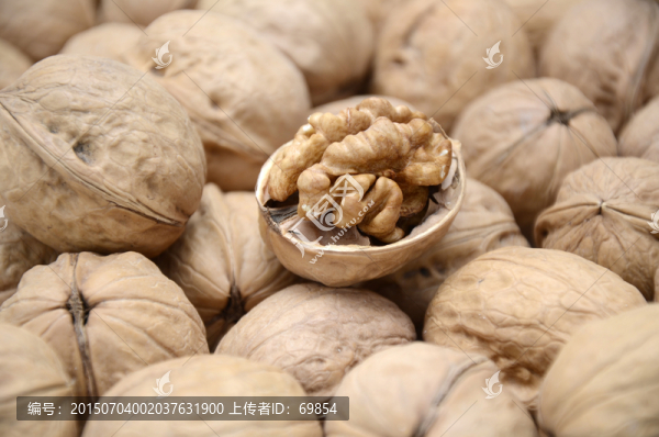 紙皮核桃